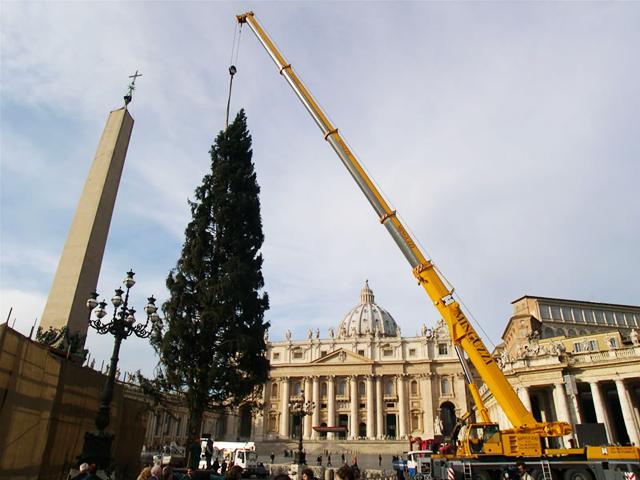 Albero di Natale -    Vaticano
