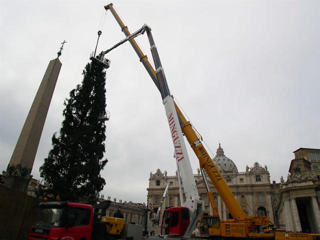 Albero di Natale -    Vaticano